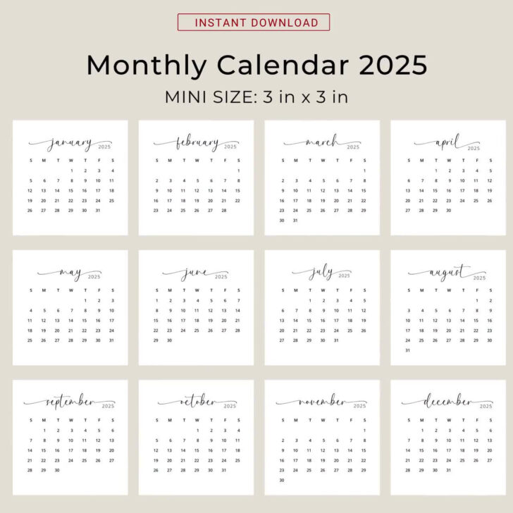 Printable 2025 Pocket Calendar