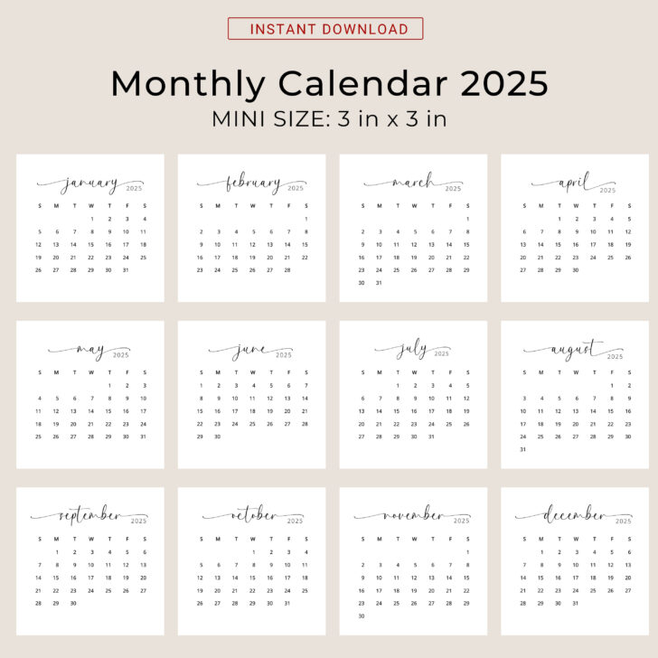 Printable 2025 Mini Calendar