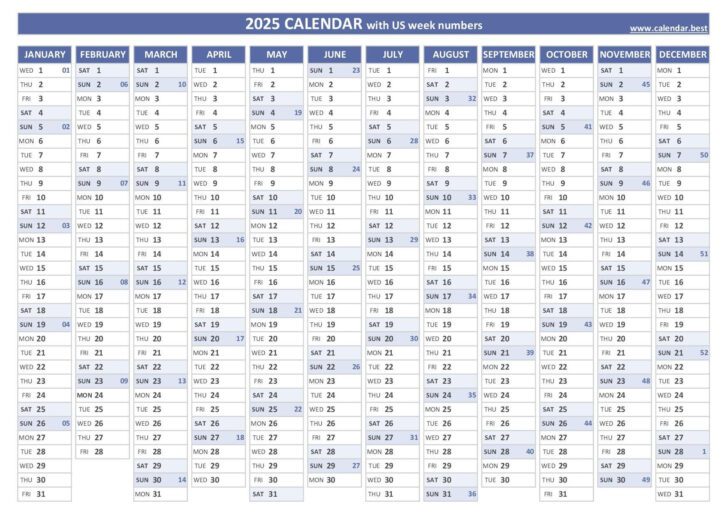 Printable Calendar 2025 by Week