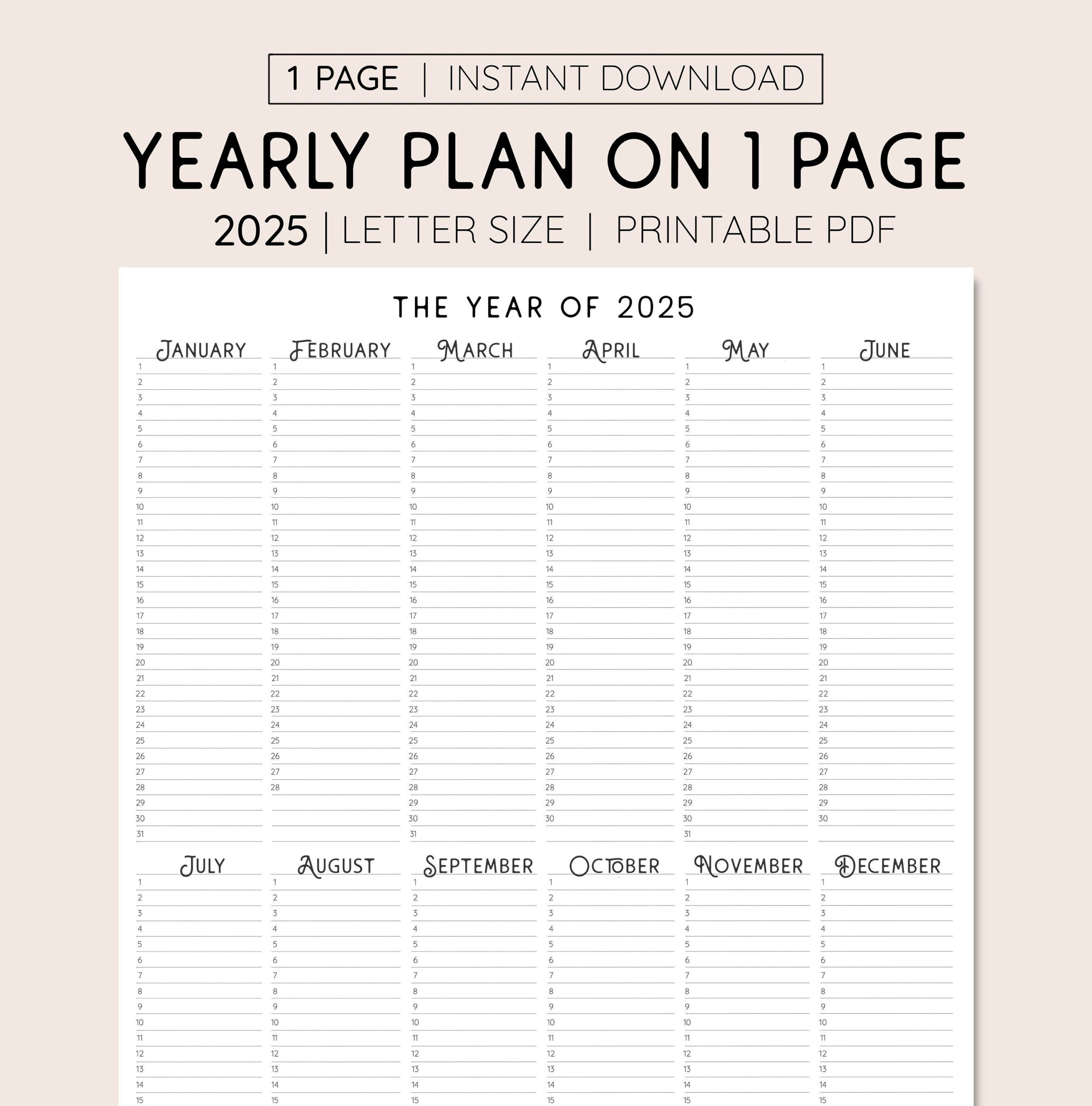 2025 Year At A Glance, Instant Download, Yearly Overview in Printable Budget Calendar 2025