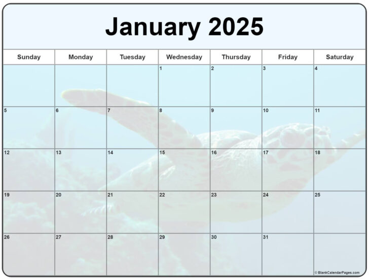 January 2025 Printable Calendar Wiki