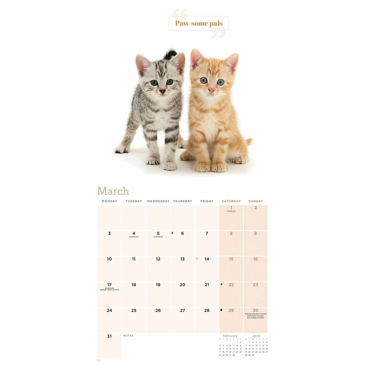 Cute Cats Calendar 2025 for Printable Cat Calendar 2025