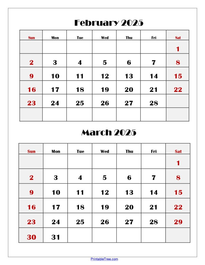 February And March 2025 Calendar Printable | Two Months Calendar inside February And March 2025 Calendar Printable