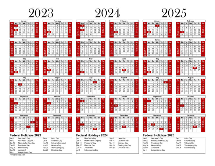 3 Year Calendar 2024 to 2025 Printable