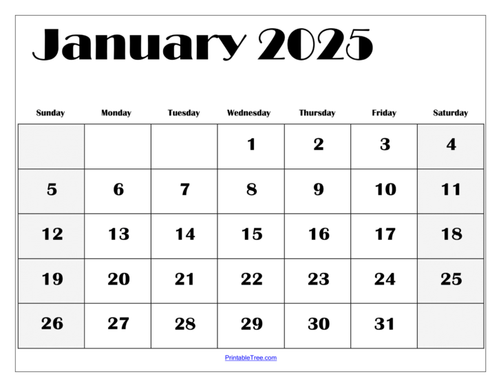 Calendar January 2025 Free Printable