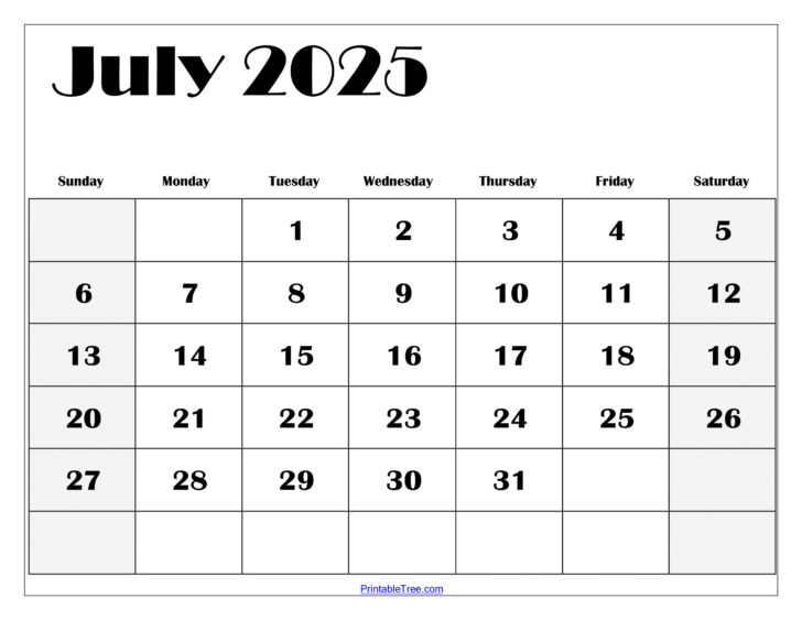 June and July Calendar 2025 Printable