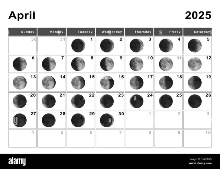 Free Printable Lunar Calendar 2025