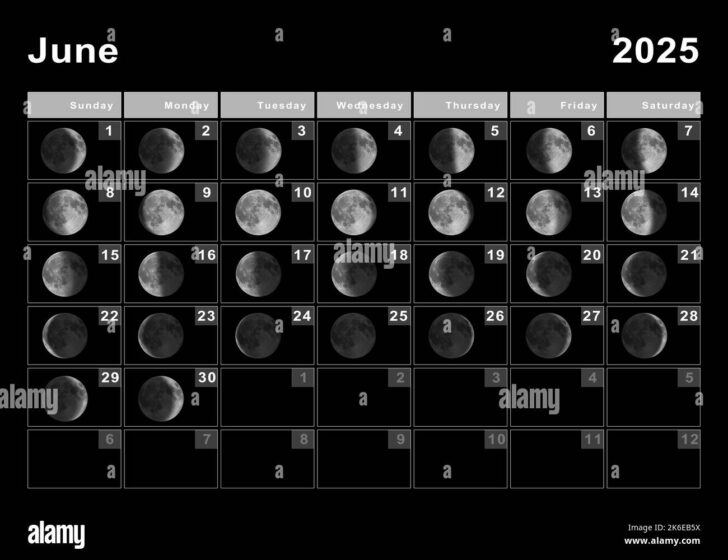 2025 Lunar Calendar Printable