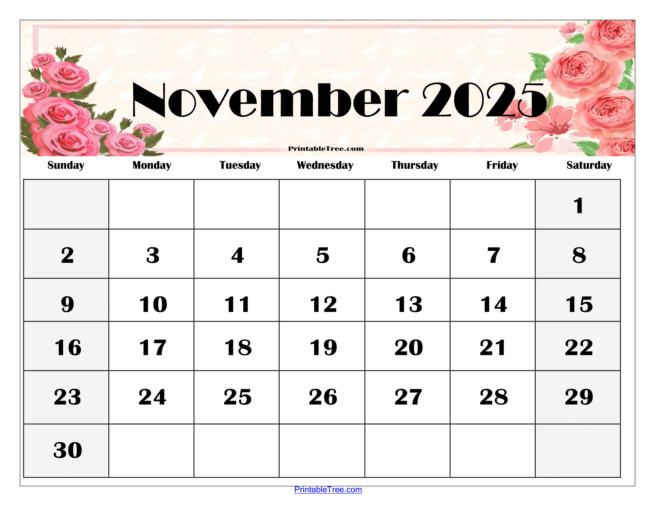 November 2025 Calendar Printable Pdf Template With Holidays for Printable Calendar 2025 November