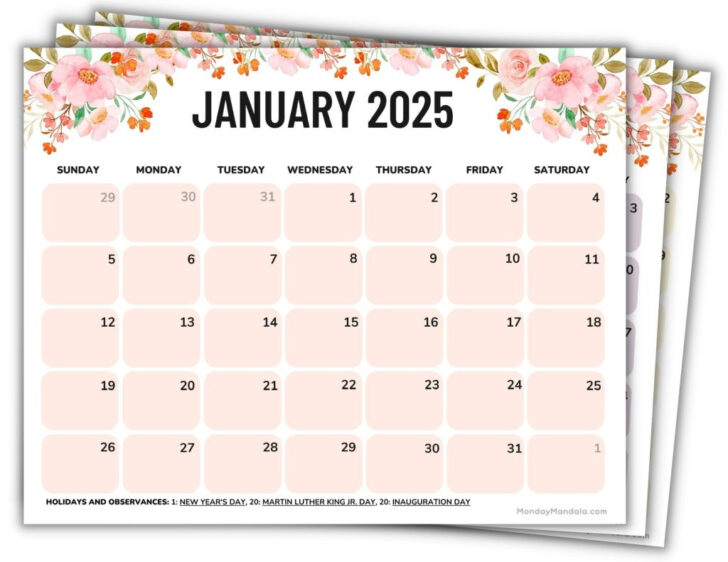 2024 and 2025 Monthly Calendar Printable Free