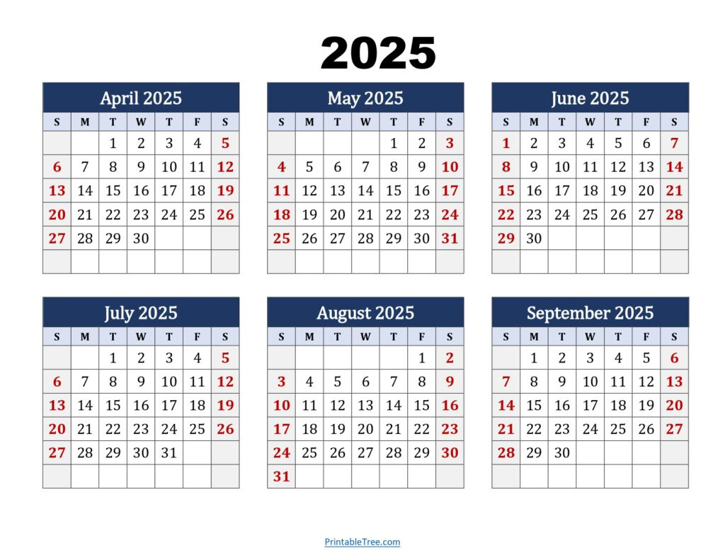 Six Month Calendar 2024-2025 Printable Pdf- 6 Months Calendar in 6 Month Calendar 2025 Printable