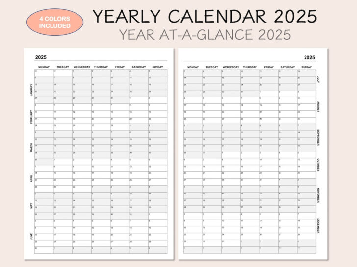 5 Year Calendar 2025 to 2029 Printable