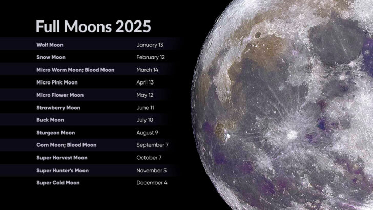 February Moon Calendar 2025