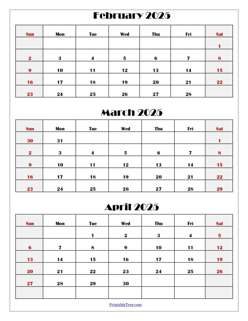 January To March 2025 Calendar | Three Months Calendar throughout Calendar February March 2025