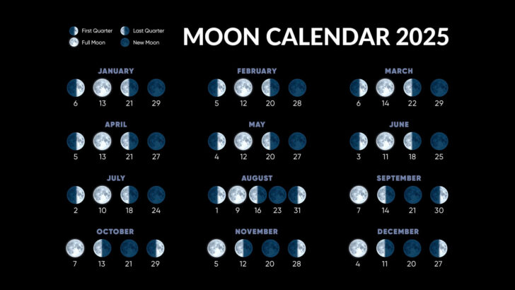 Moon Calendar May 2025