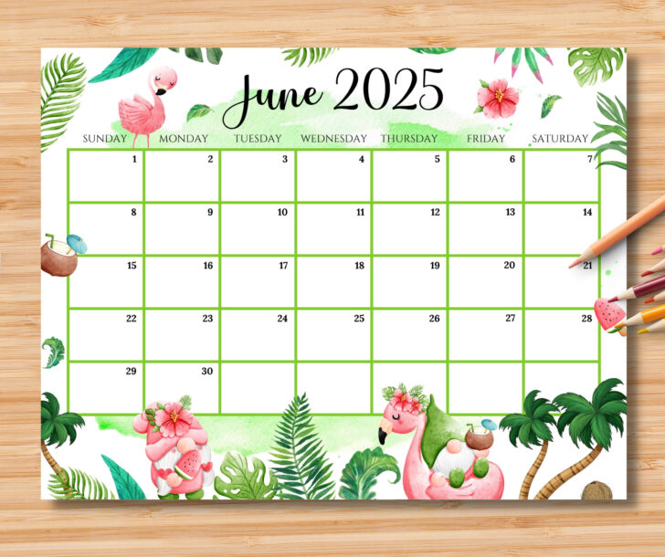 June 2025 Calendar Colorful