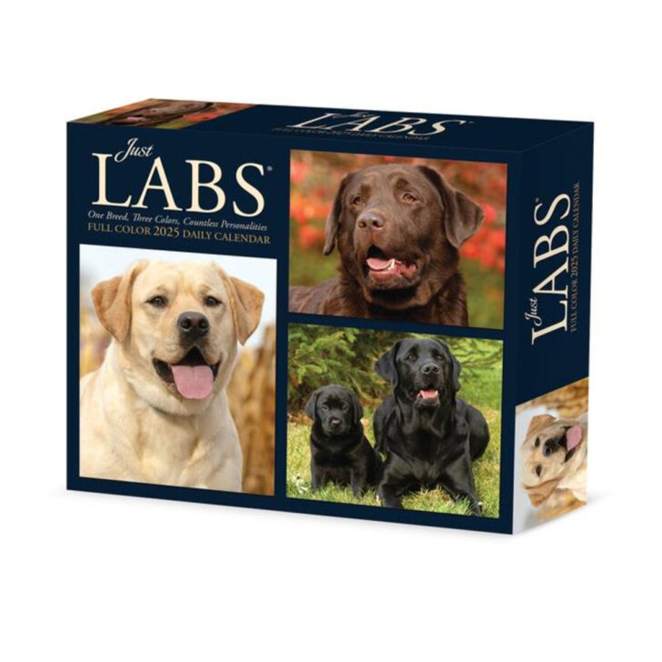 July 2025 Calendar Labs