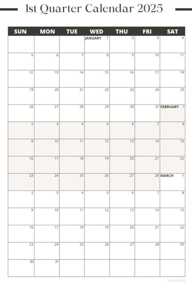 3 Month Calendar August September October 2025