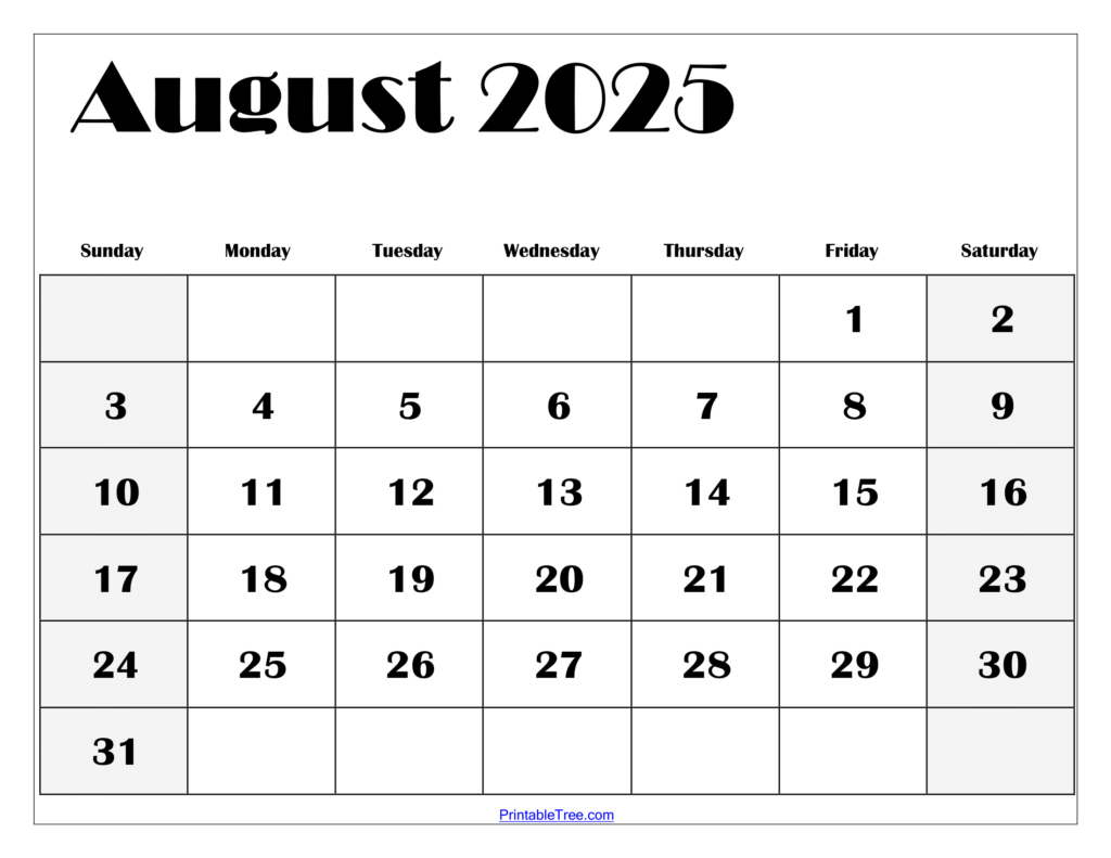 Blank August Printable Calendar 2025 | Calendar 2025