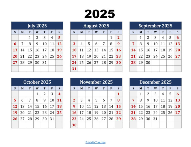 Printable Calendar August 2025 to December 2025