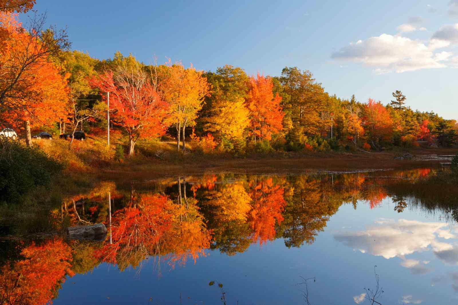 Best Time To Visit Acadia National Park - See Sight Tours throughout Acadia National Park In October 2025