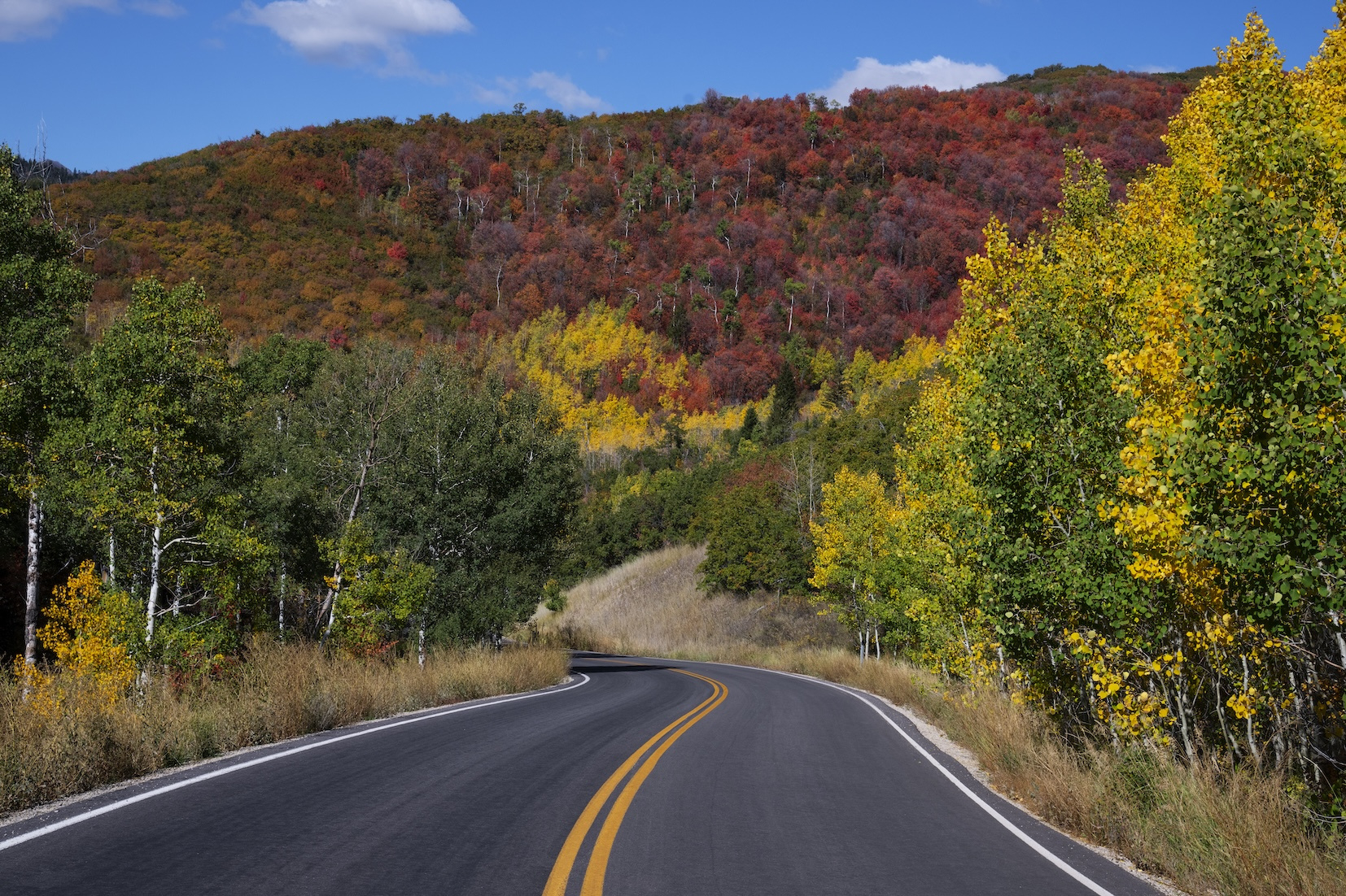 Best Time To Visit Zion National Park In 2025 – Seasonal Guide in Weather in October in Zion National Park 2025