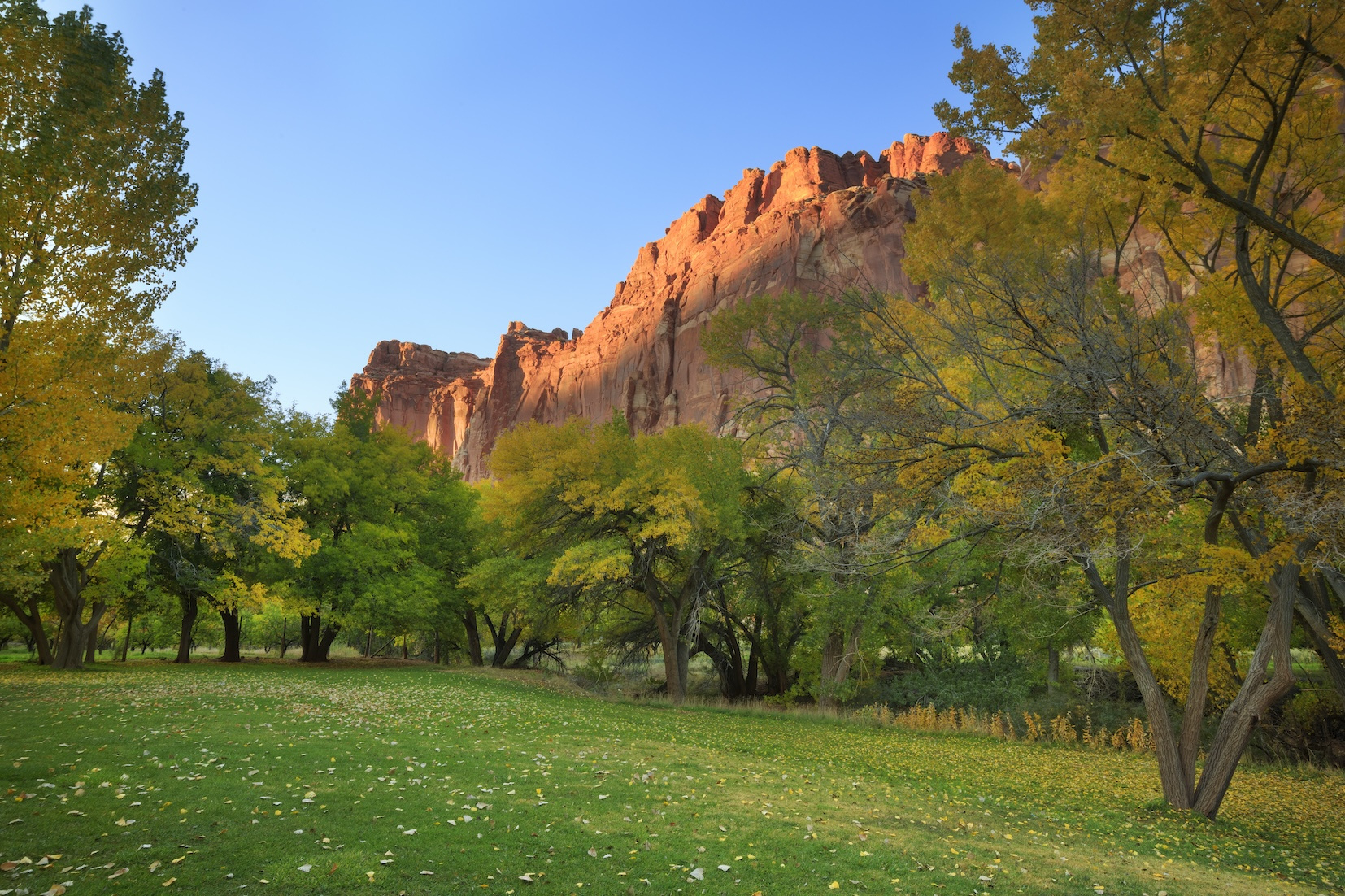 Best Time To Visit Zion National Park In 2025 – Seasonal Guide within Weather in October in Zion National Park 2025