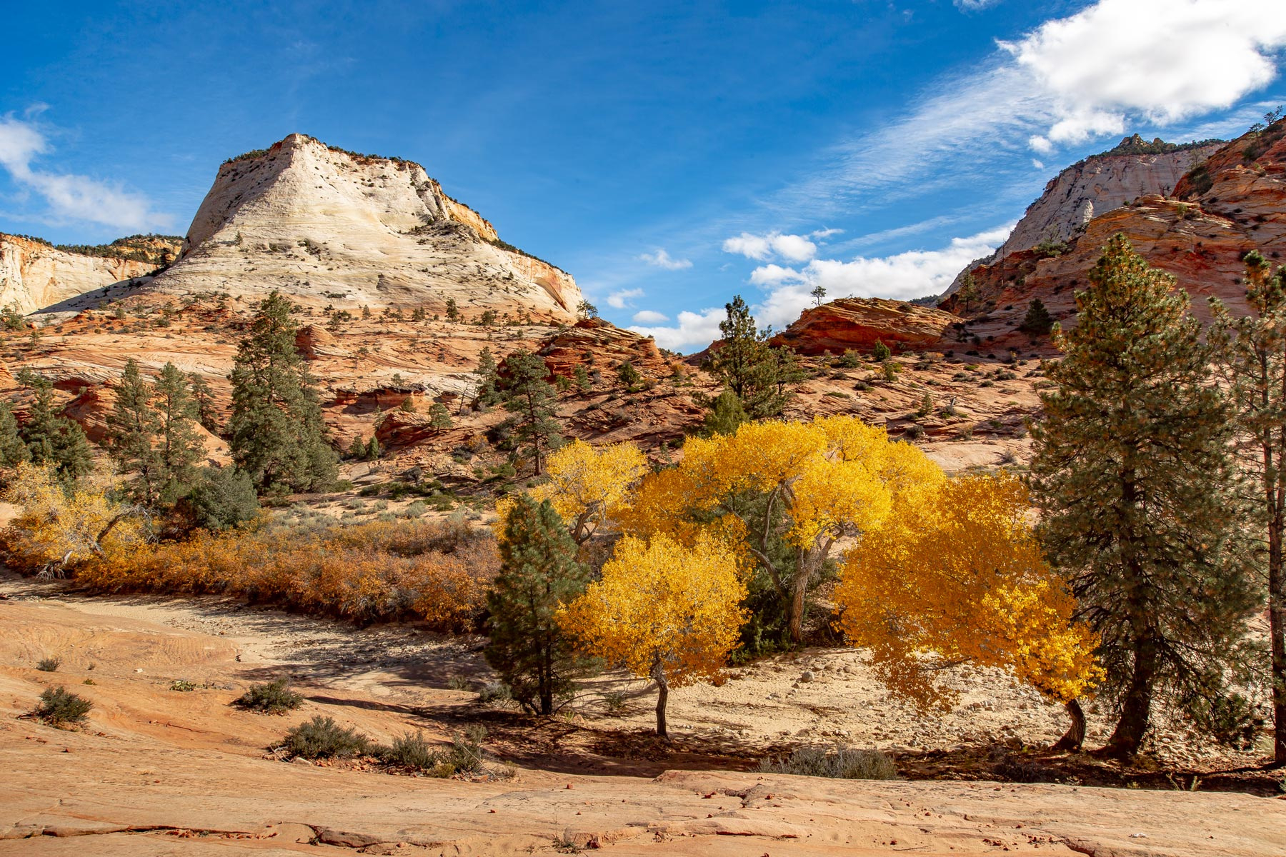 Fall In Zion National Park: Everything You Need To Know within Zion National Park In October 2025