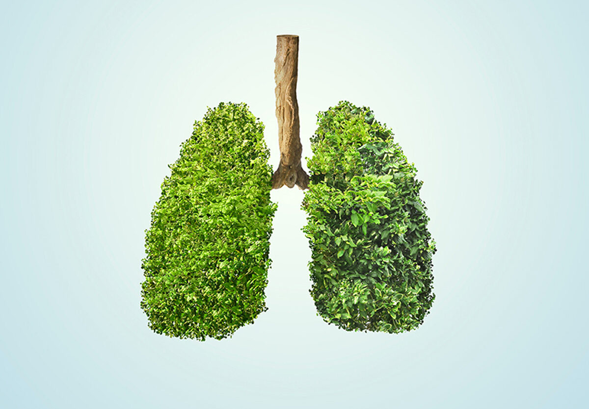 Healthy Lung Month - National Today with October is National What Month Health 2025