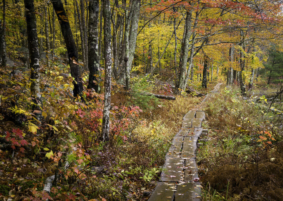 Maine&amp;#039;S Acadia Np In Autumn Photo Tour (October 9-12, 2025) - Nanpa for Acadia National Park In October 2025