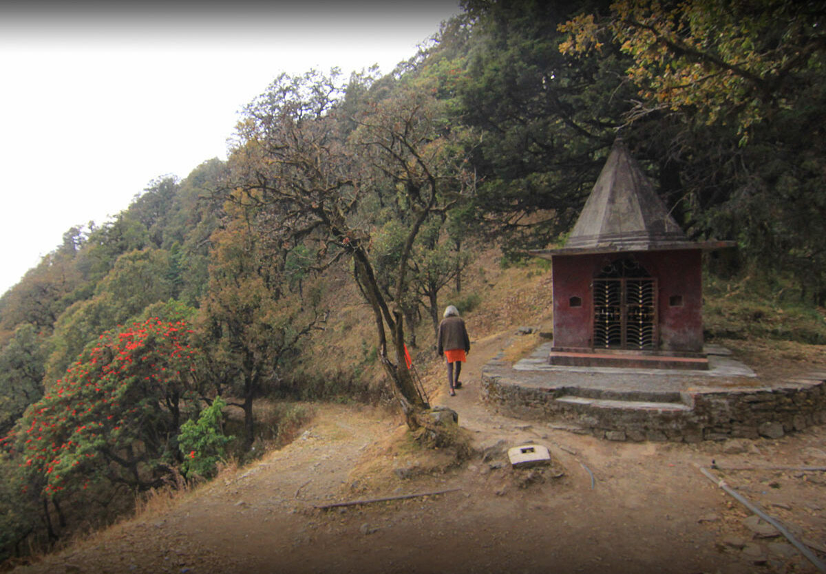 National Hermit Day - October 29, 2025 - National Today regarding October 29 Is National What Day 2025