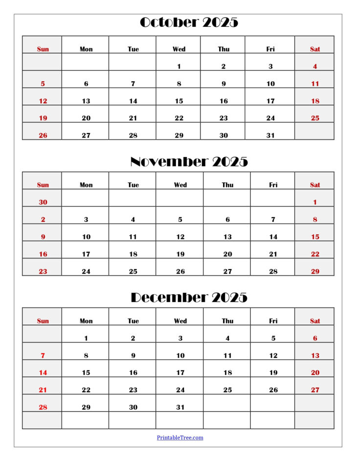 October Nov Dec Calendar 2025