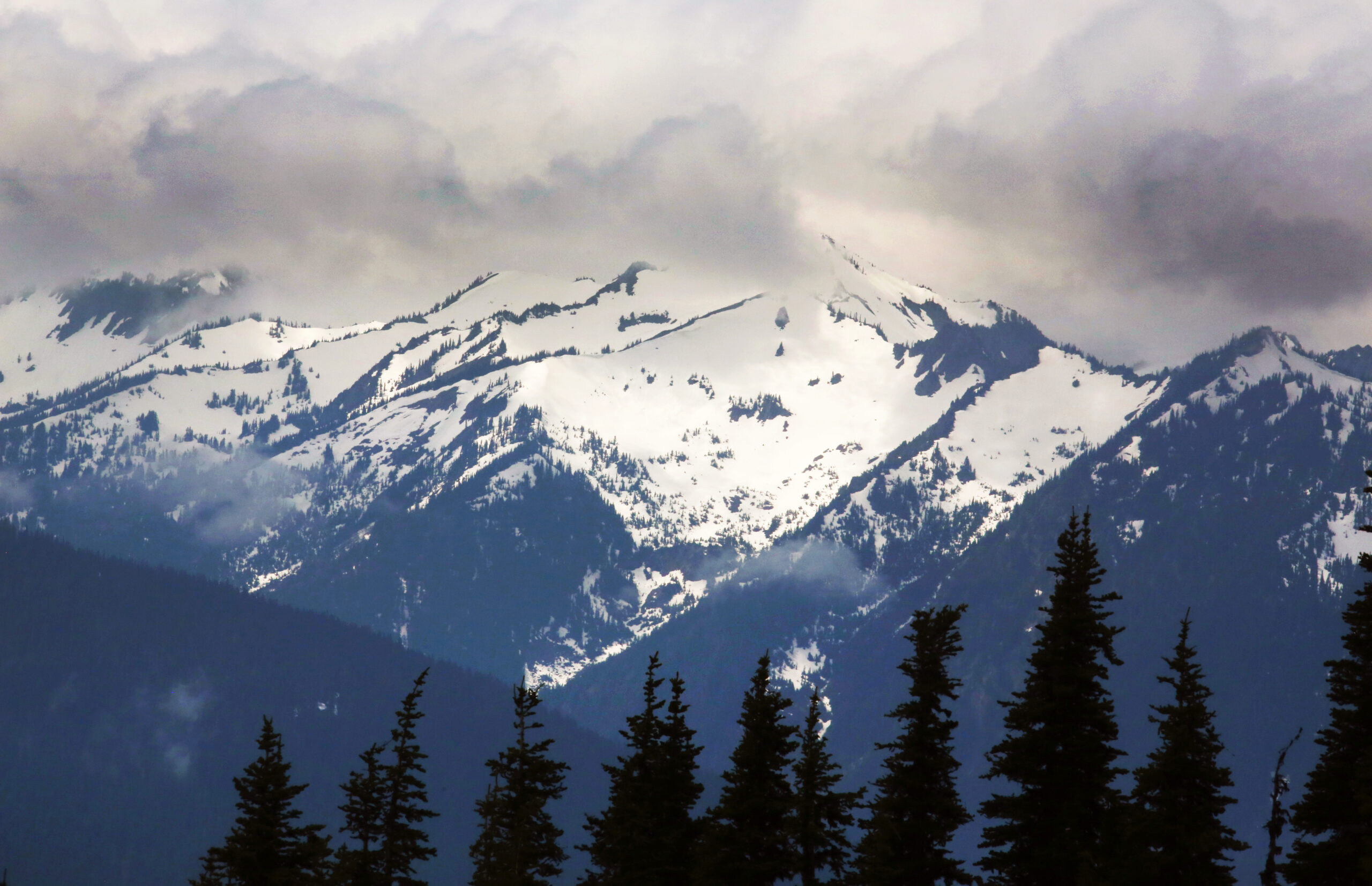 Olympic National Park Is A Perfect Fall Getaway, Especially If You intended for Olympic National Park in October 2025