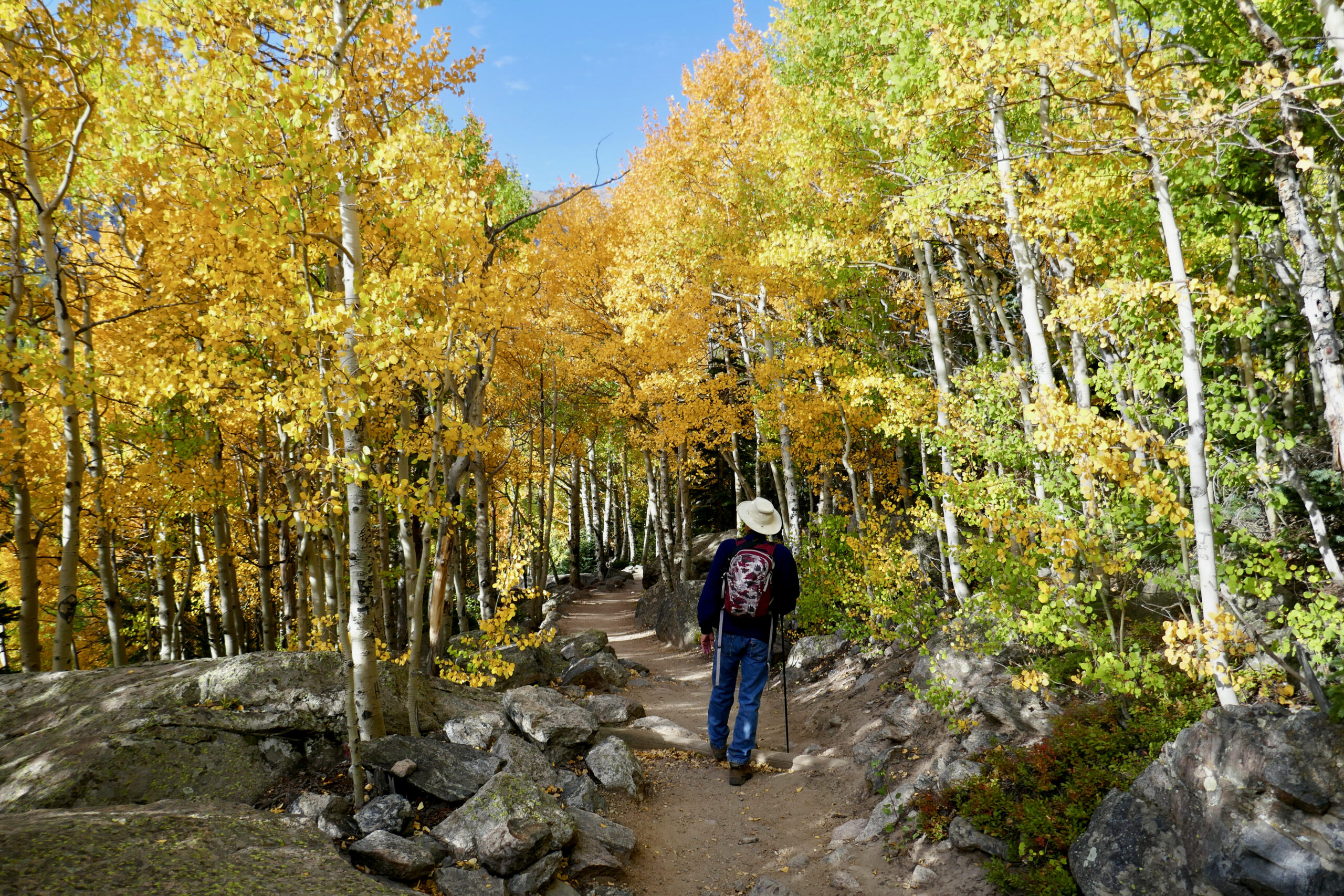 Plan Your Fall Trip To Rocky - Rocky Mountain National Park (U.s. inside Rocky Mountain National Park In October 2025