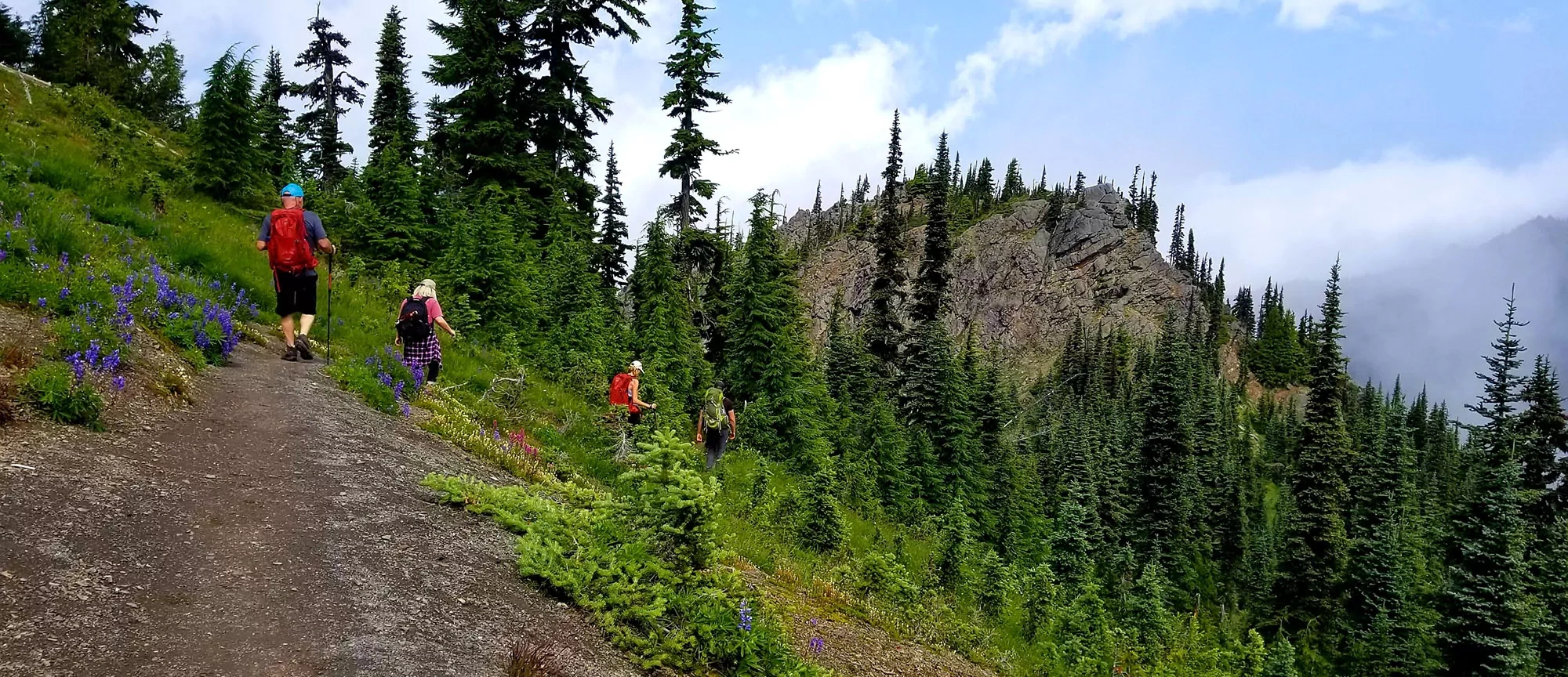 Visiting Olympic National Park In Autumn | Wildland Trekking inside Olympic National Park in October 2025