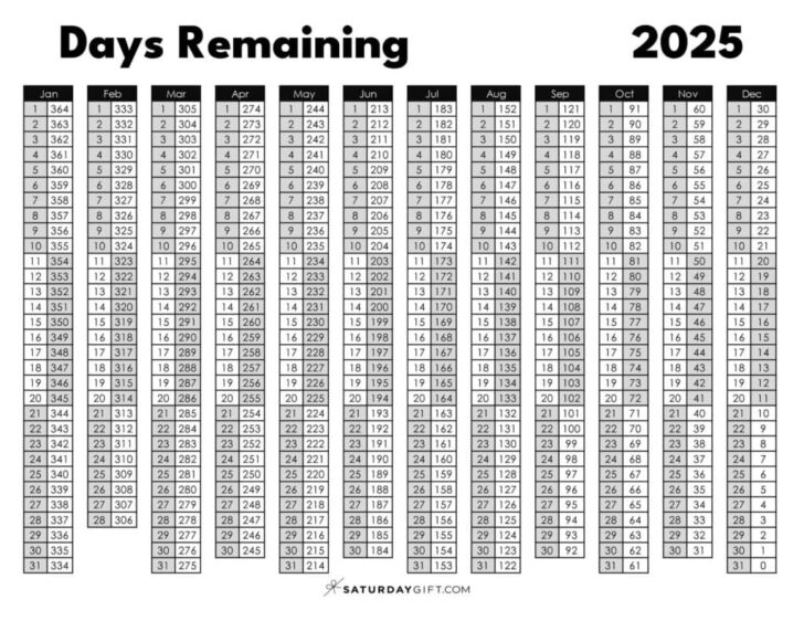 How Much Days in November 2025 Calendar How Much Days in November 2025 Calendar