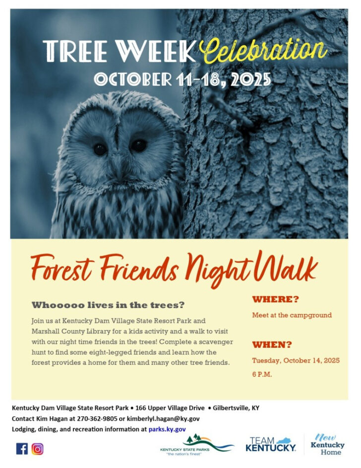 National Tree Week November 2025 National Tree Week November 2025