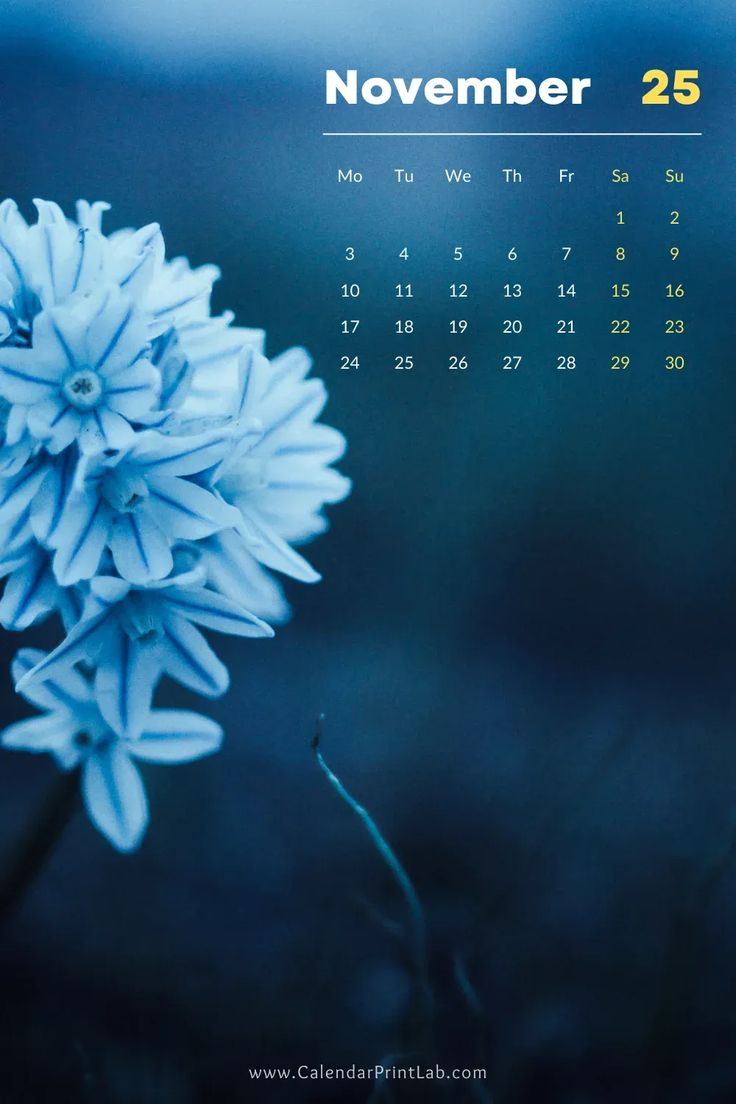 Iphone 2025 Calendar Wallpapers In Hd Download with regard to November 2025 Iphone Calendar Wallpaper