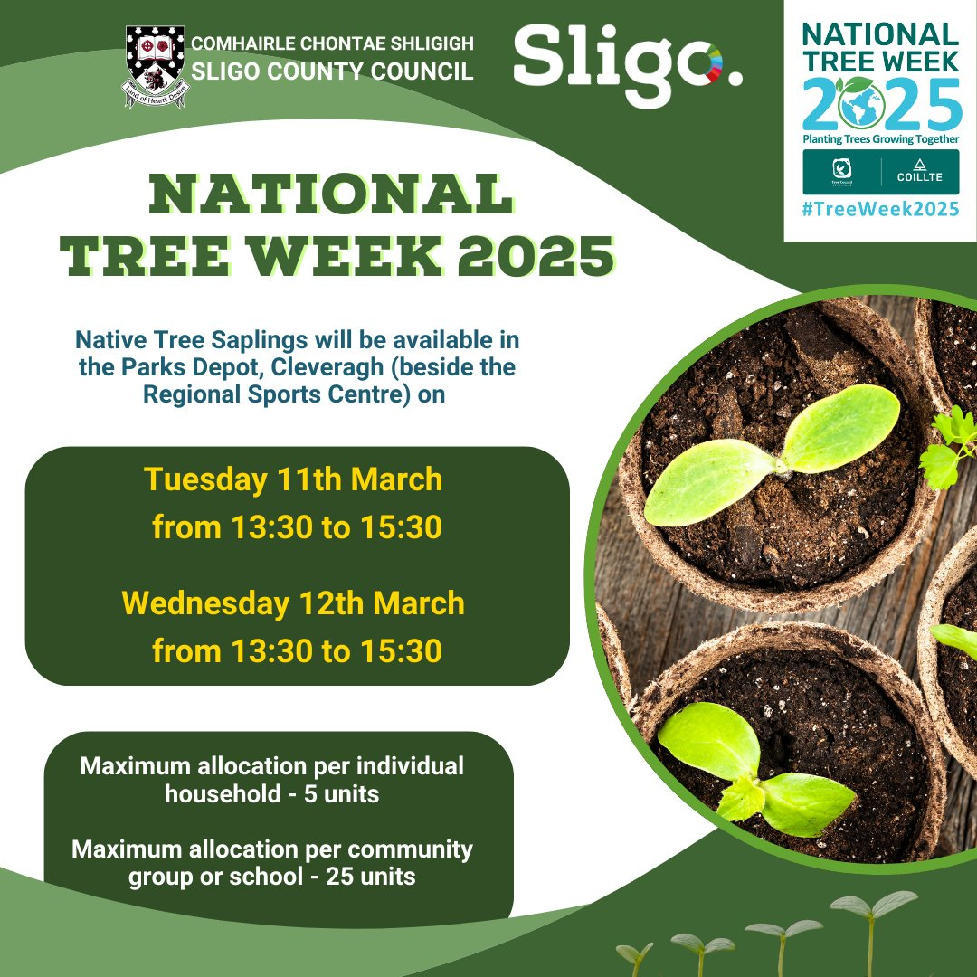 Sligo County Council On X: "🌳National Tree Week 2025🌳 Native in National Tree Week November 2025