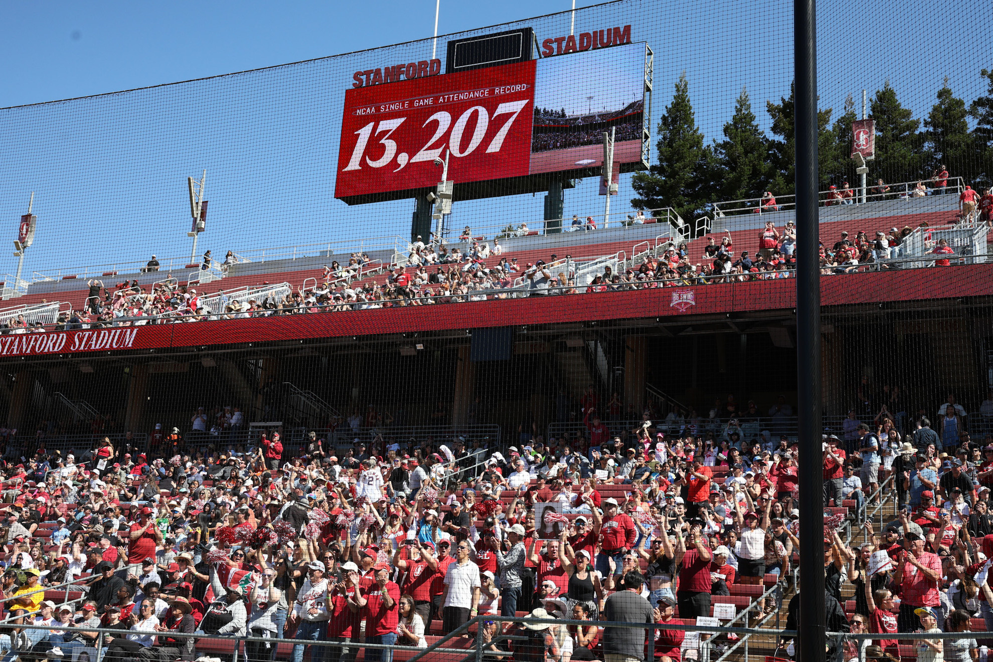 13,207 Fill Stanford Stadium To Break Ncaa Softball Record throughout Stanford Football Attendance 2026