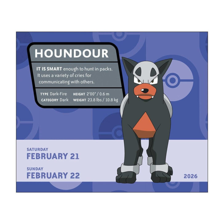 Pokemon Advent Calendar 2026 Pokemon Advent Calendar 2026