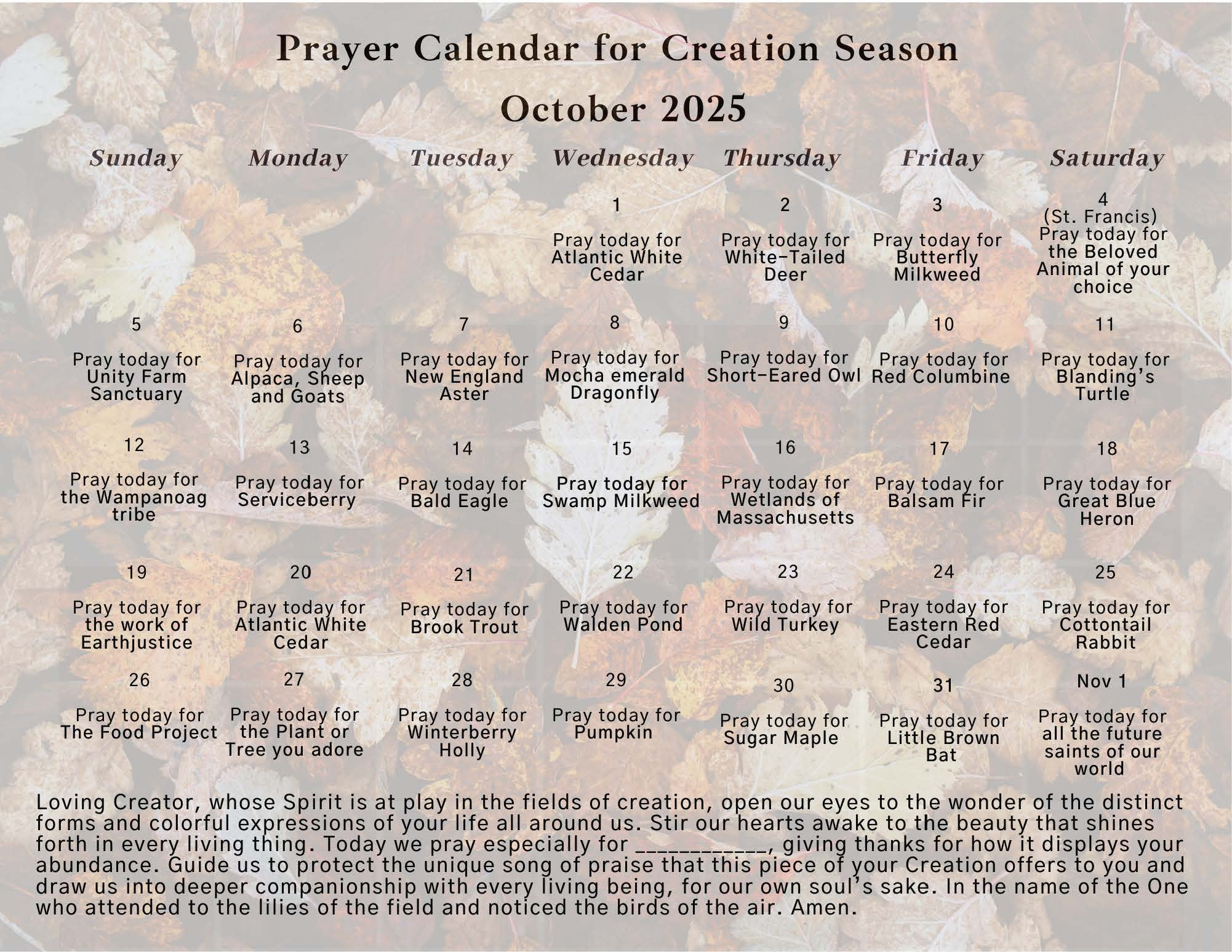 Prayer Calendar For Creation Season — St. Anne&amp;#039;S In-The-Fields with October Saints Calendar 2025