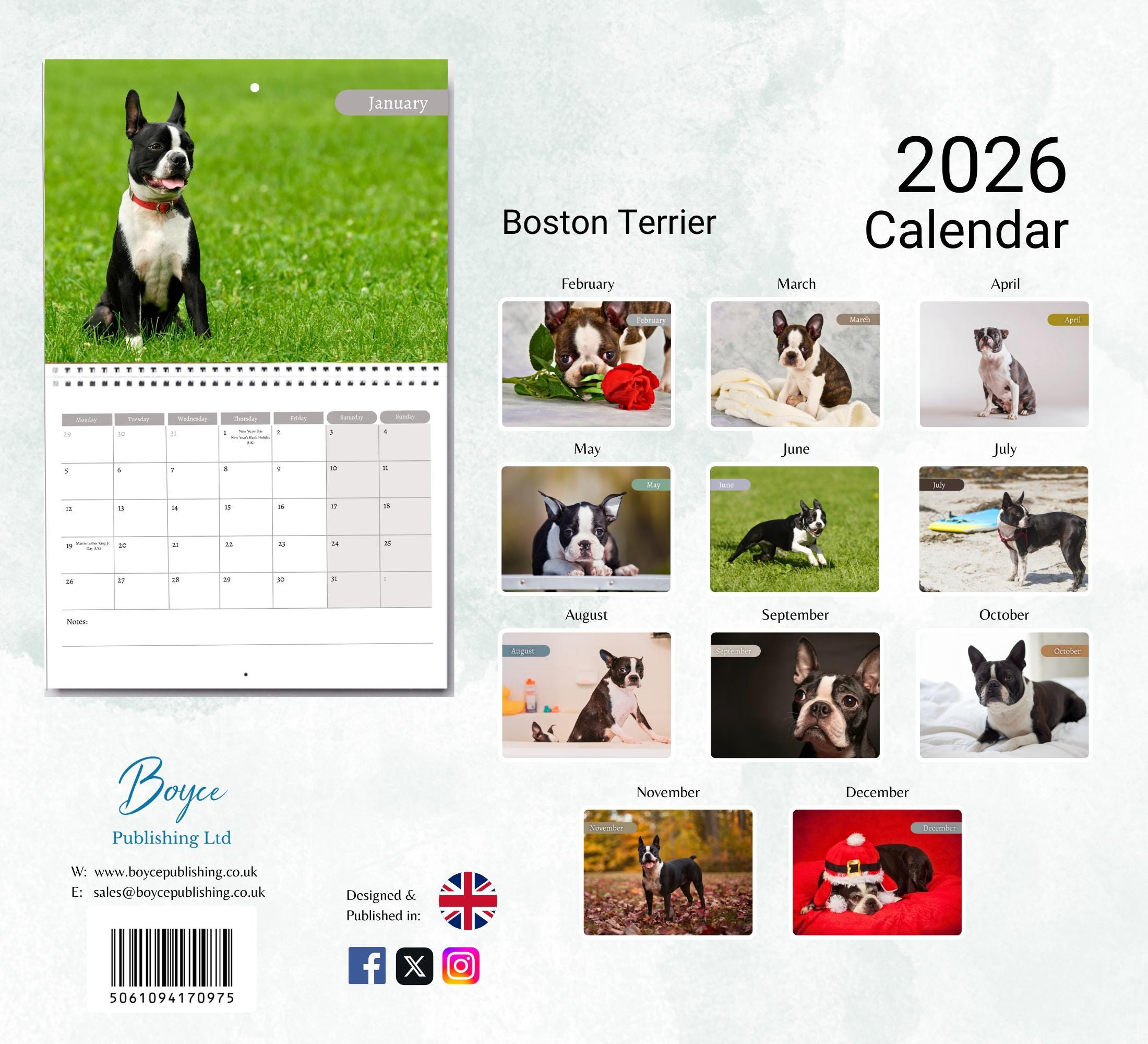 Boston Terrier Kalender 2026: Monatlicher Wandkalender Mit Notizen throughout Ramadan 2026 Calendar Boston
